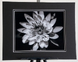 matted_0005.jpg