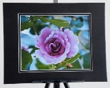 matted_0011.jpg