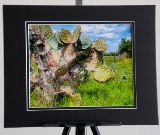 matted_0016.jpg