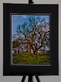 matted_0019.jpg