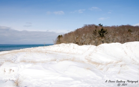 DSC_7805.jpg