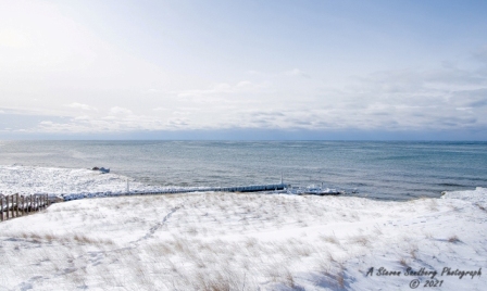 DSC_7809.jpg