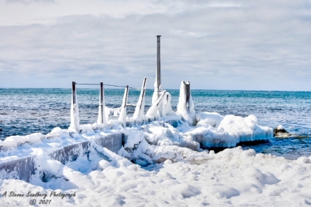 DSC_7819a.jpg