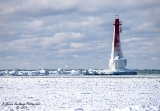DSC_7744.jpg
