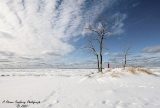 DSC_7761.jpg