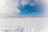 DSC_7766.jpg