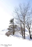 DSC_7794.jpg