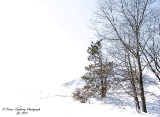 DSC_7795-2.jpg