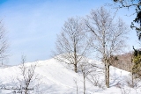 DSC_7798a.jpg