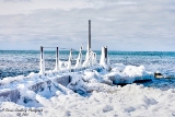 DSC_7819a.jpg