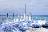 DSC_7820a.jpg