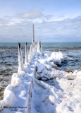 DSC_7835a.jpg