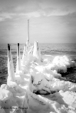 DSC_7836.jpg