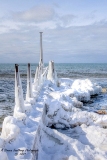 DSC_7836a.jpg