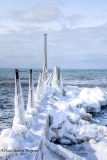 DSC_7837a.jpg
