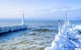DSC_7842a.jpg