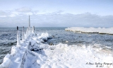 DSC_7844a.jpg