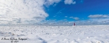 feb21pano2.jpg