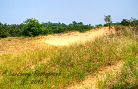mi2015-79.jpg