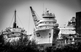 mi2015-73.jpg