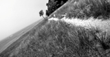 mi2015-76.jpg