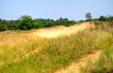 mi2015-79.jpg