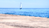 mi2015-95.jpg