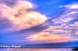 mi120717-37.jpg