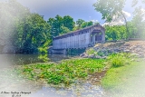 mi180718-10.jpg