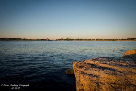 mi080719-42.jpg