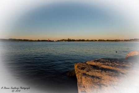 mi080719-43.jpg