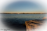 mi080719-43.jpg