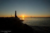 mi080719-47.jpg