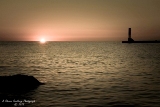 mi080719-67.jpg