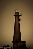 mi080719-82.jpg