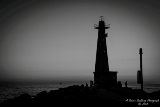 mi080719-89.jpg