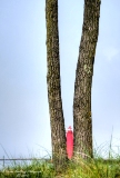 mi160618-73.jpg