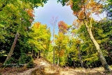 mi091018-10.jpg