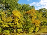 mi091018-36.jpg