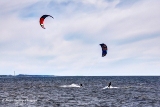 gh_5813.jpg