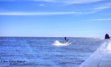 gh_5819.jpg