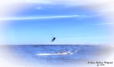 gh_5821.jpg