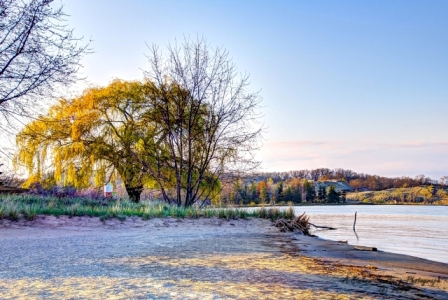 DSC_5462.jpg
