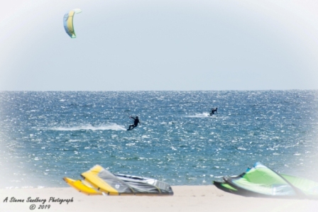 DSC_5564.jpg