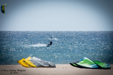 DSC_5565.jpg