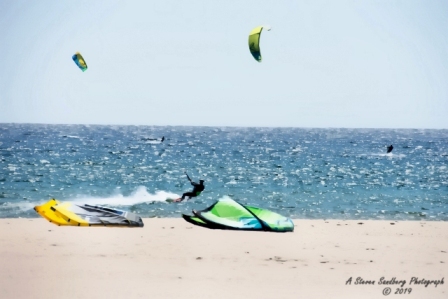 DSC_5568a.jpg