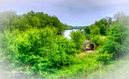 DSC_6092.jpg