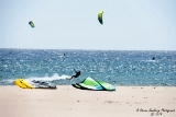 DSC_5568a.jpg