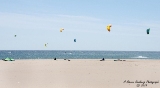DSC_5571.jpg