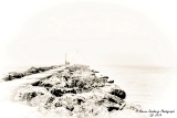 DSC_5867a.jpg